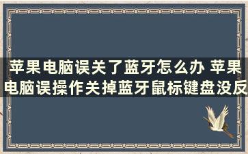 苹果电脑误关了蓝牙怎么办 苹果电脑误操作关掉蓝牙鼠标键盘没反应